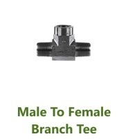 male-female-branch-tee